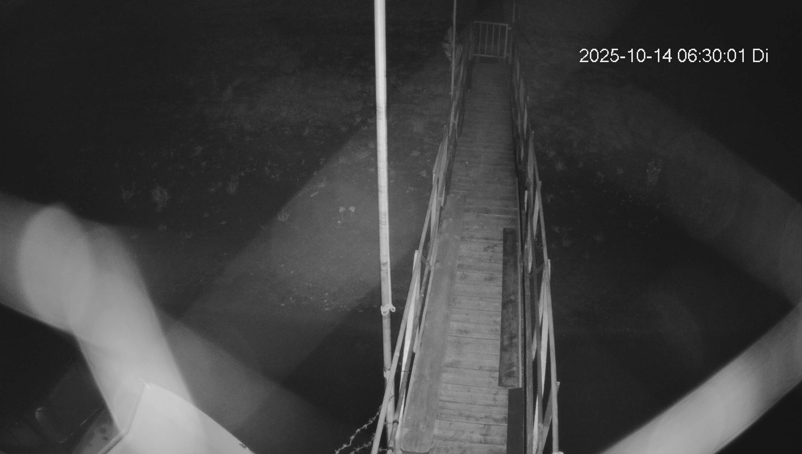 Webcam img missing